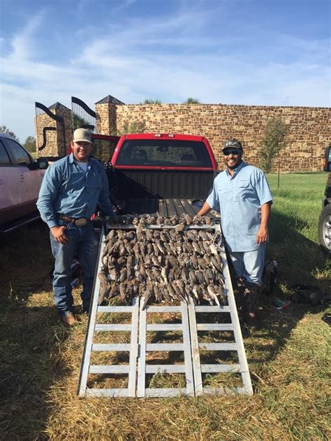 This hunt includes 12 birds per person per half day hunt, lunch, and the cleaning and packaging of your quail. . Quail hunt cost
